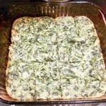 Winter & Food 2010-2011 093 Winter & Food 2010-2011 093