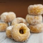 cinnamon sugar pumpkin donuts cinnamon sugar pumpkin donuts