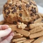 peanut butter cheese ball recipe peanut butter cheese ball recipe