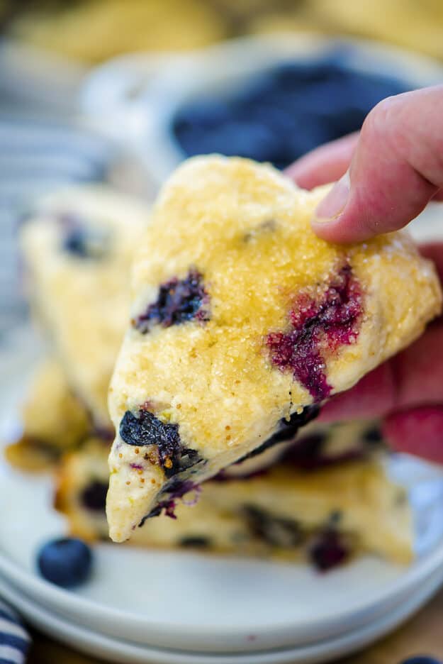 Moist Tender Blueberry Scones Buns In My Oven