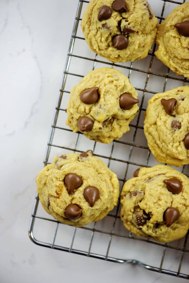 Chocolate Chip Pudding Cookies — Buns In My Oven