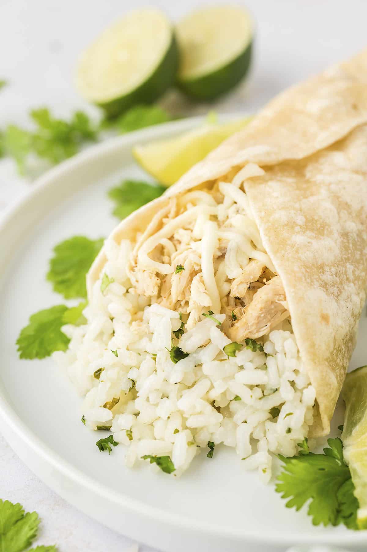 Burrito filled with chicken and cilantro lime rice.