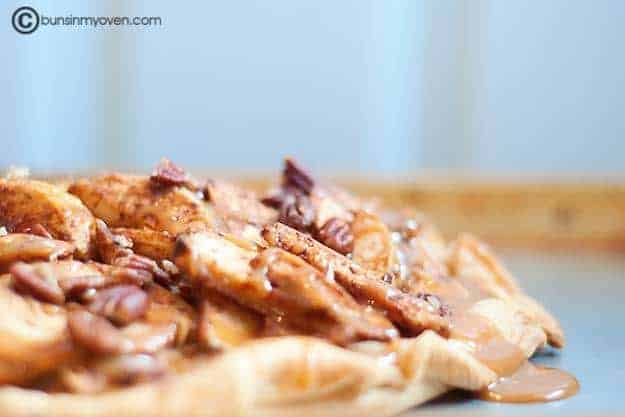 A closeup of apple slices covered in caramel sauce 