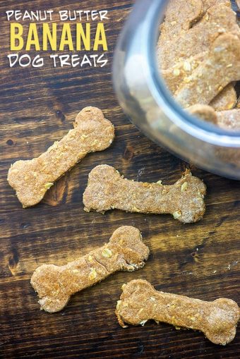 The BEST Homemade Peanut Butter Dog Treats Recipe!