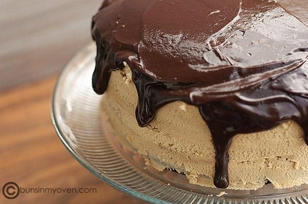 Frosted chocolate peanut butter cake.