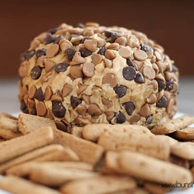 A peanut butter ball with chocolate chips on it in front of a pile of cookies.