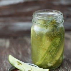 Easy Refrigerator Dill Pickles — Buns In My Oven