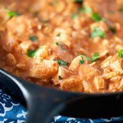 Indian Butter Chicken Dip — Buns In My Oven