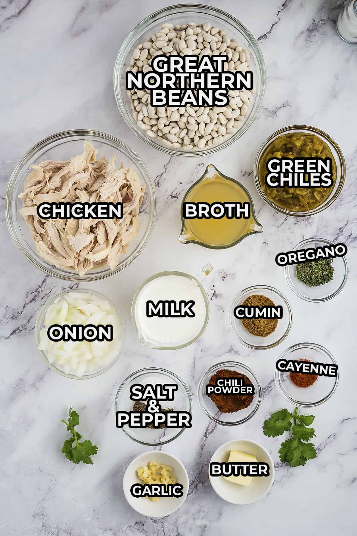 Ingredients for white chicken chili recipe.