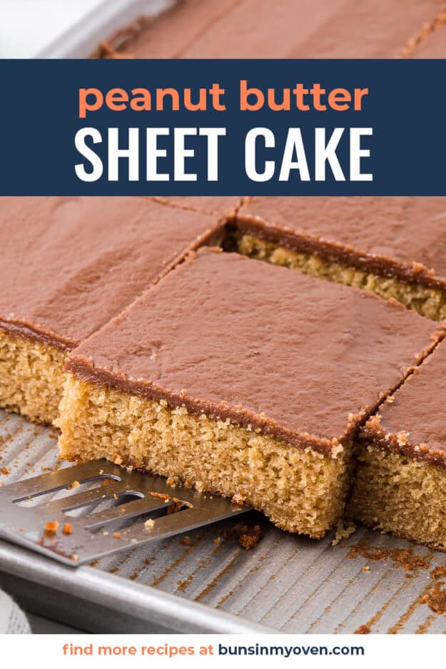 Peanut butter sheet cake on spatula.