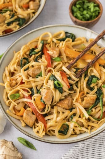 Pork Lo Mein Recipe | Buns In My Oven