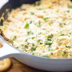 Spicy Chicken Dip — Buns In My Oven