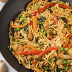 Teriyaki Pork Lo Mein Recipe - even tastier than take-out!