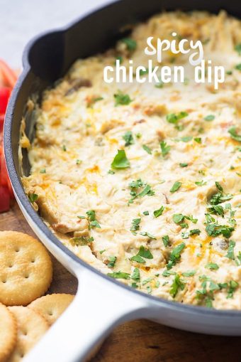 Spicy Chicken Dip — Buns In My Oven