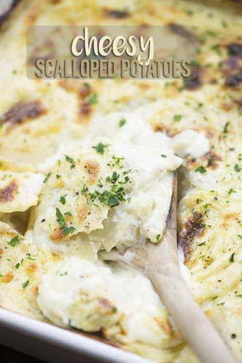 White Cheddar Scalloped Potatoes