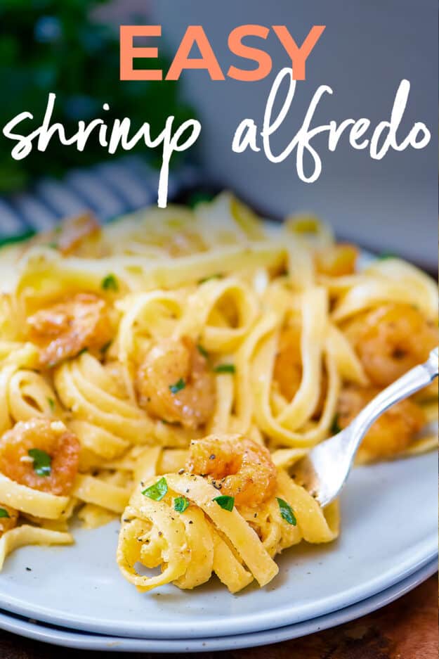 Creamy Shrimp Alfredo Pasta Recipe | Buns In My Oven