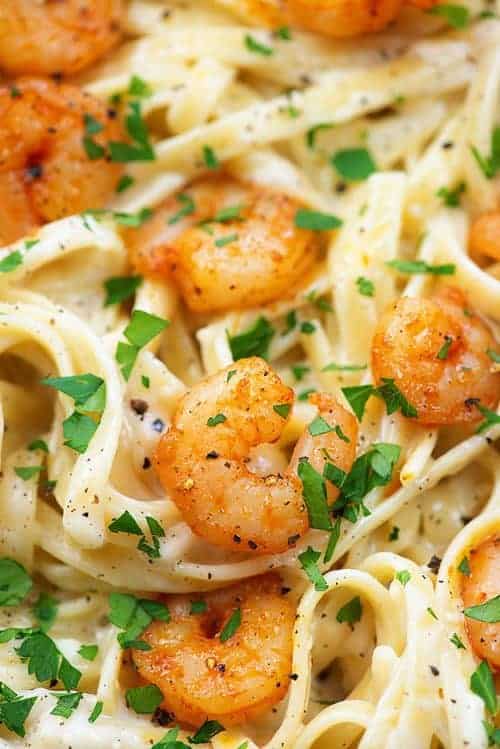 creamy-shrimp-alfredo-pasta-recipe-buns-in-my-oven