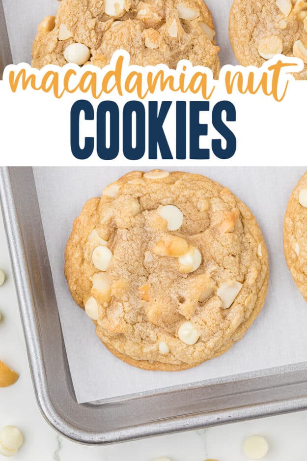 Macadamia nut cookies on baking sheet.