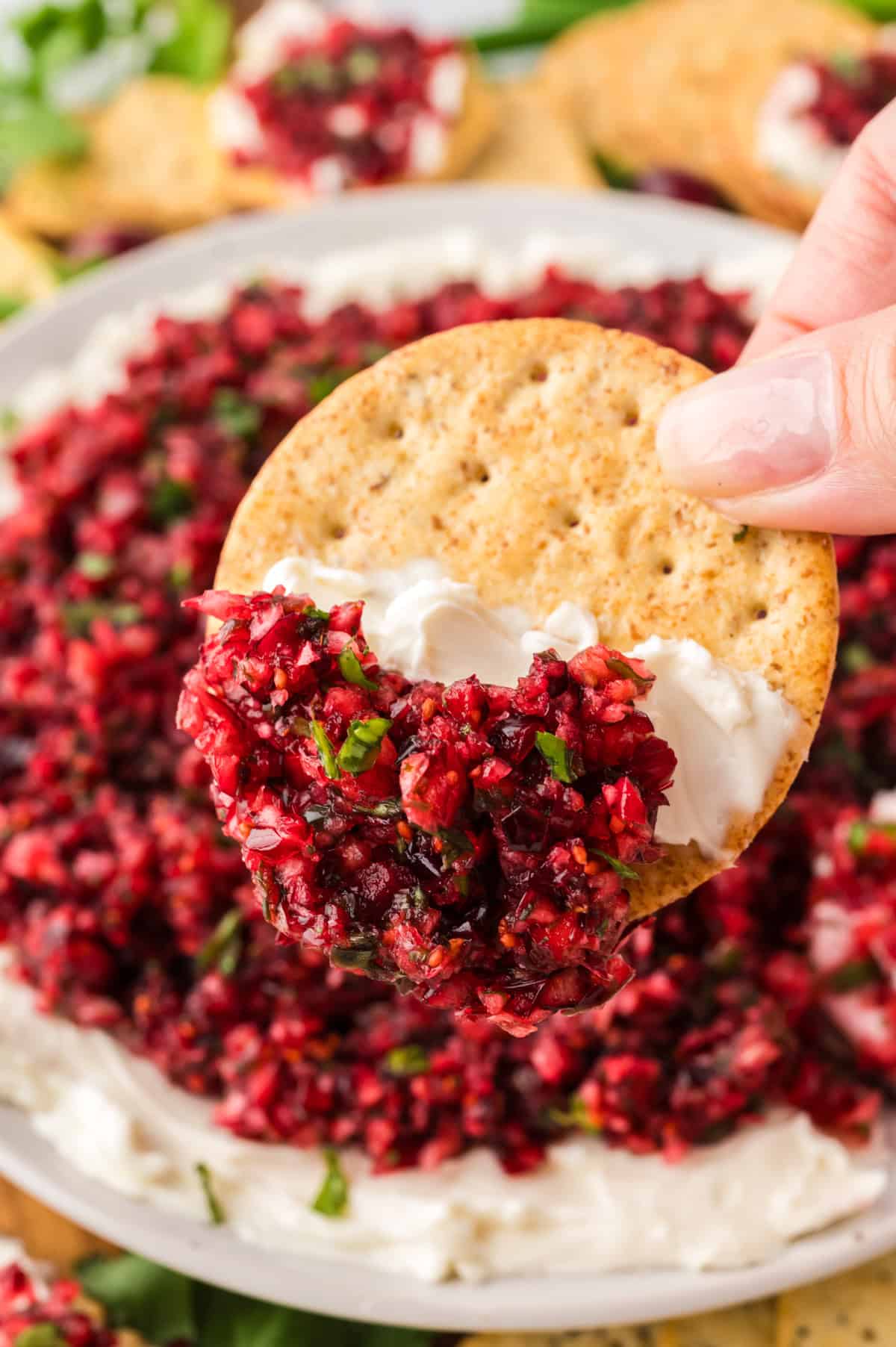 Cracker being dipped into cranberry cream cheese dip.