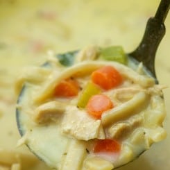 Leftover Turkey Soup - Easy Crockpot Recipe! | Buns In My Oven