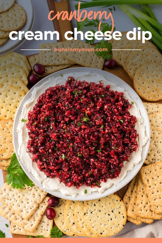 Overhead view of cranberry salsa on plate with crackers.