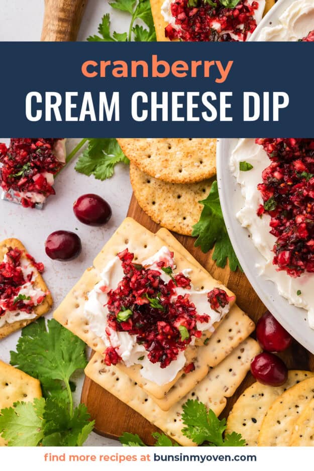 Cranberry salsa on cracker.