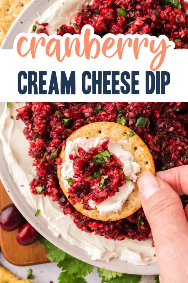 Cracker being dipped into cranberry cream cheese dip.