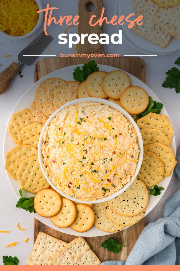 Three cheese spread recipe in a bowl surrounded by crackers.