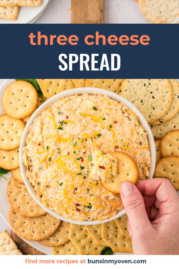 Hand dipping a cracker into cheese spread.