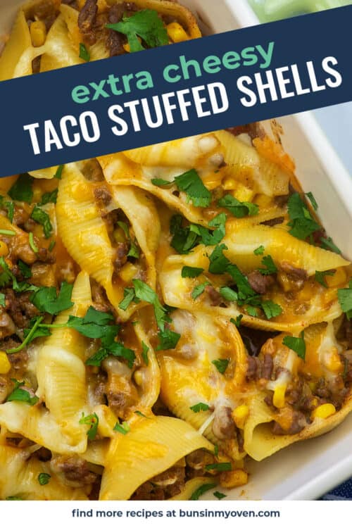 Cheesy Taco Stuffed Shells Recipe | Buns In My Oven