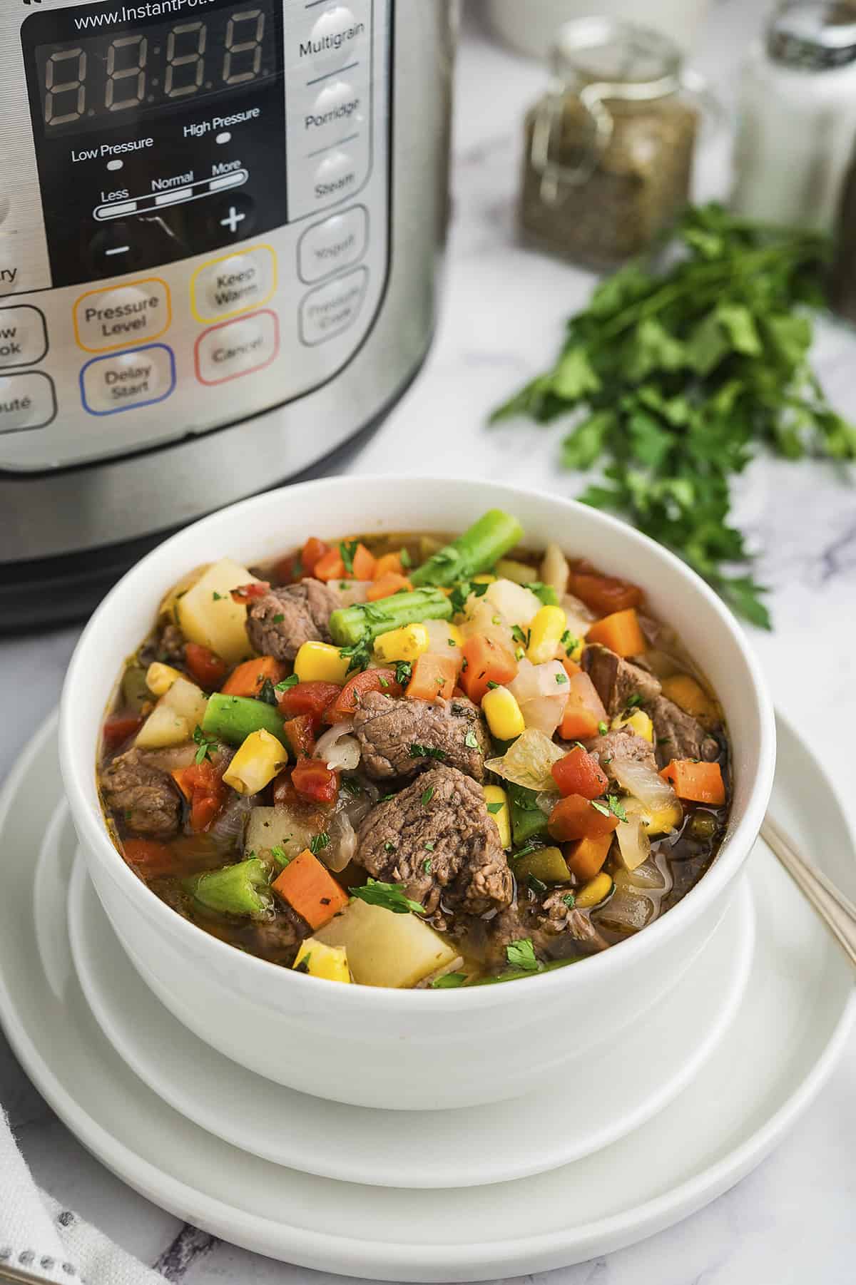 Instant Pot vegetable beef soup in white bowl.