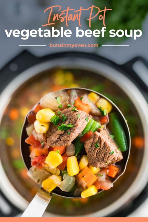 Ladle full of vegetable soup.