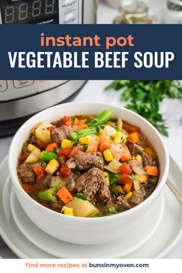 Vegetable beef soup in bowl.