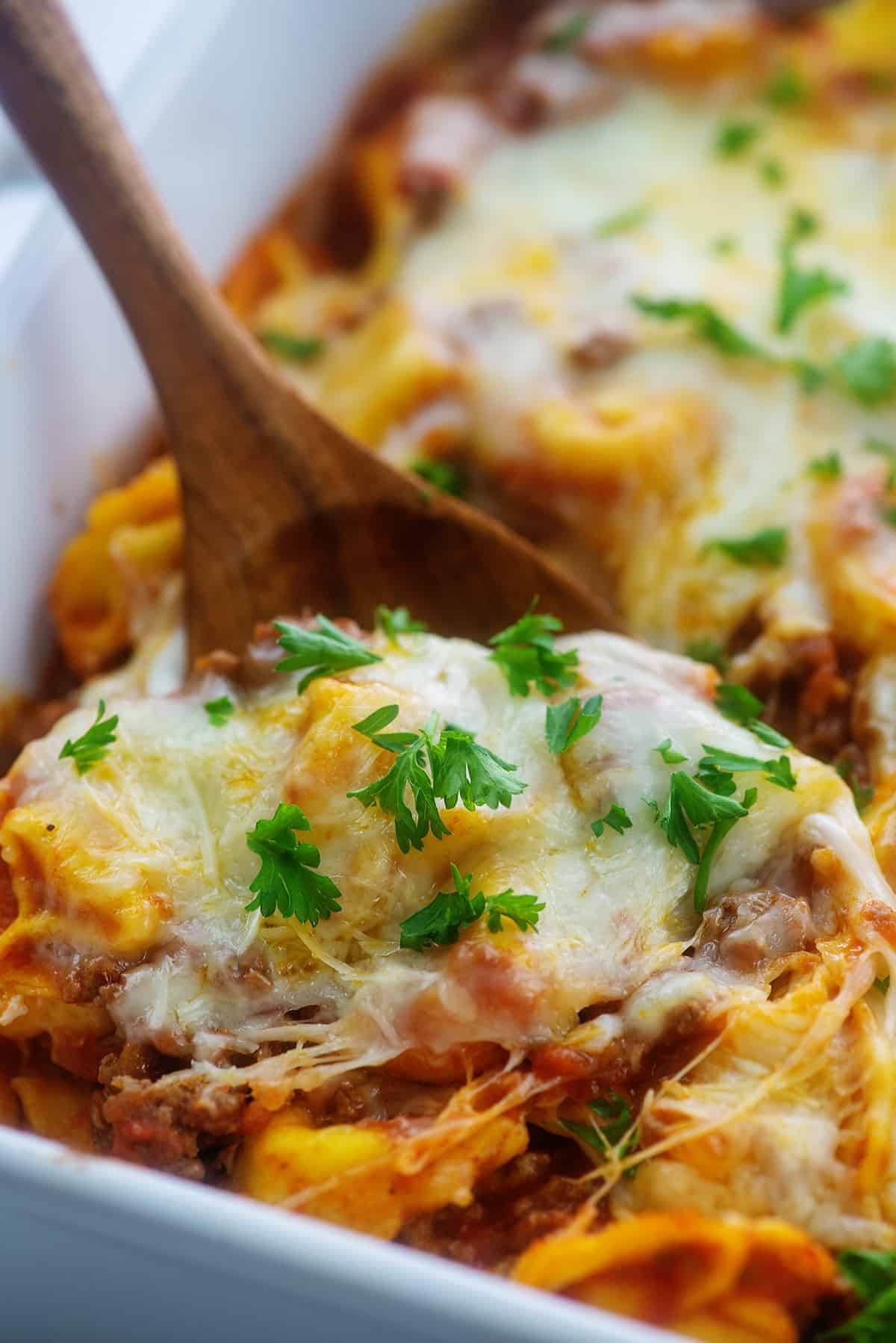 cheese tortellin in white dish on wooden spoon.