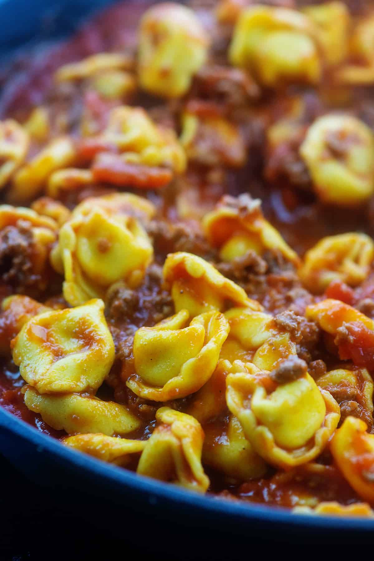 beef and cheese tortellini in marinara sauce.