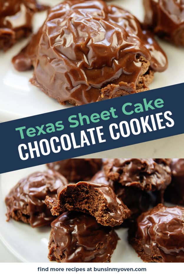 Easy Texas Sheet Cake Cookies | Buns In My Oven