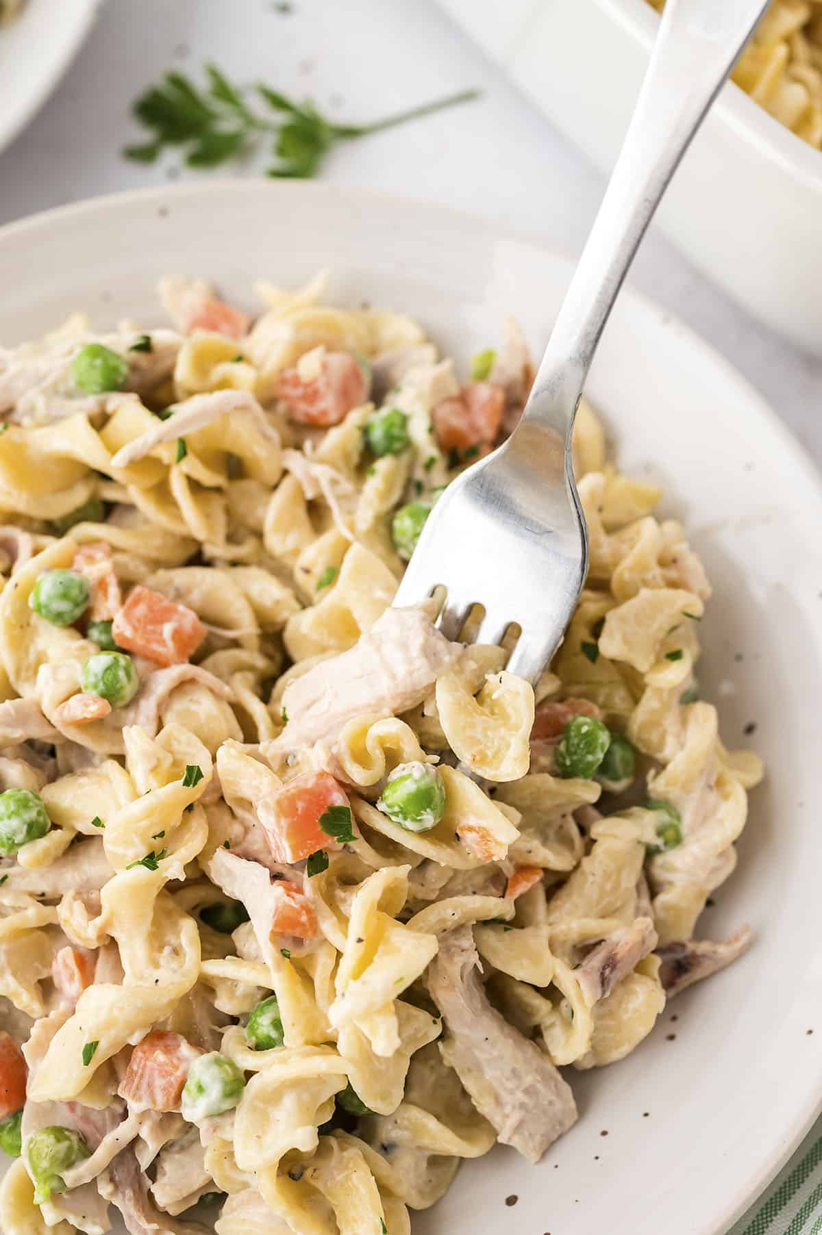 Forkful of chicken casserole with noodles.