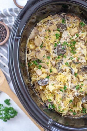 Crockpot Chicken Stroganoff Recipe | Buns In My Oven