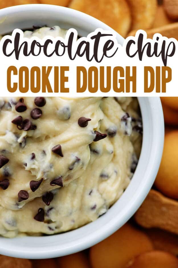 Chocolate Chip Cookie Dough Dip (or Cheeseball)