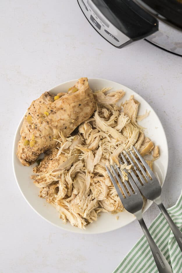 Shredded chicken on white plate with forks.