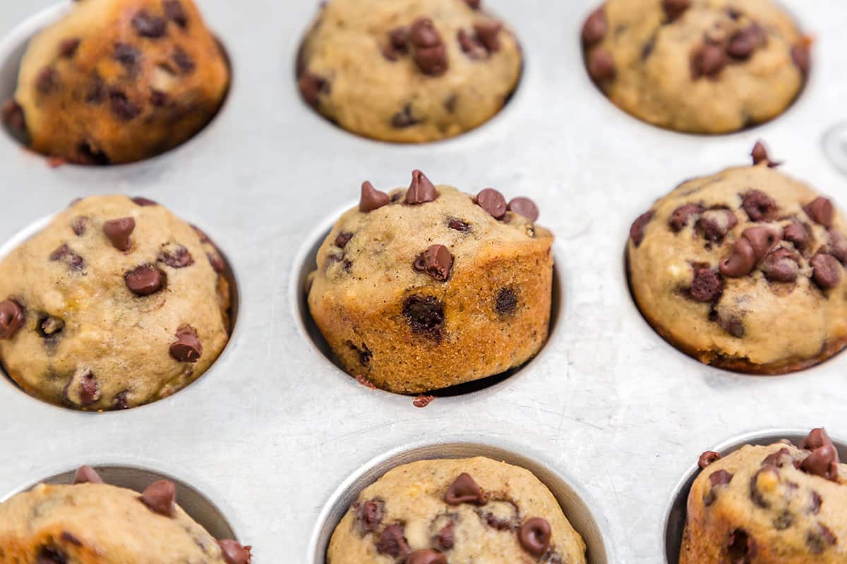 Mini Chocolate Chip Muffins — Buns In My Oven