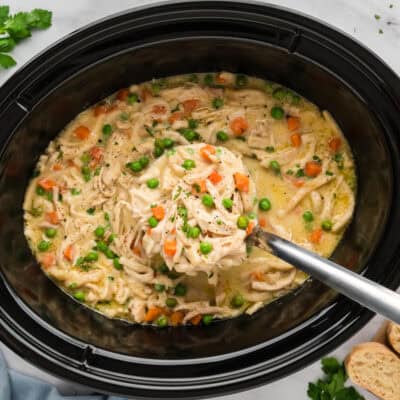 Crockpot chicken noodle recipe on ladle.