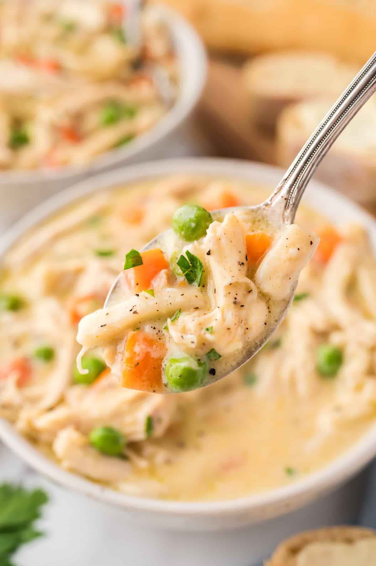 Spoonful of creamy chicken noodle recipe.