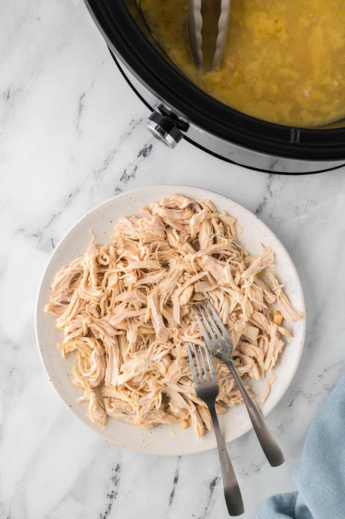 Shredded chicken on plate.