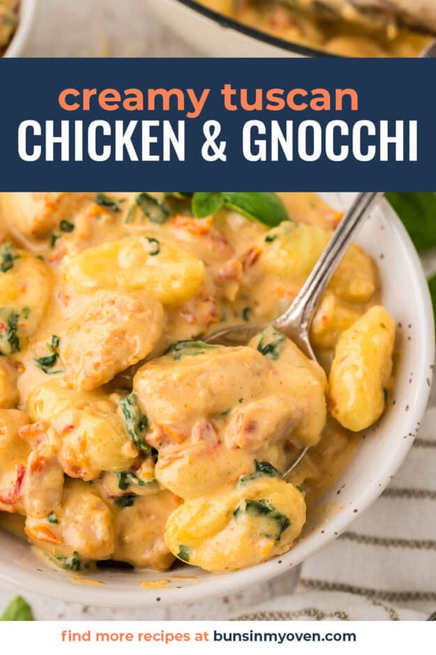 Bowl full of chicken and gnocchi in cream sauce.