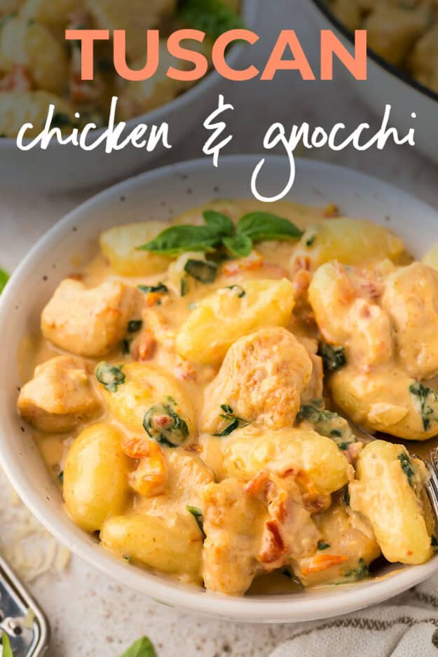 Bowl full of chicken and gnocchi.