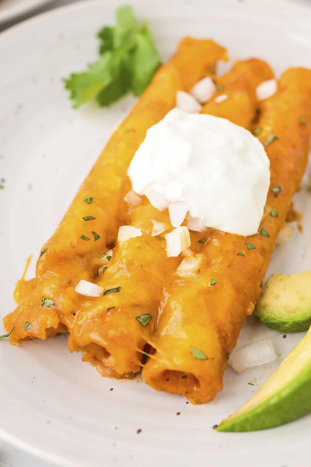 Taquito enchiladas on white plate topped with sour cream.