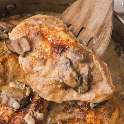 Chicken with cream of mushroom soup on wooden spoon.