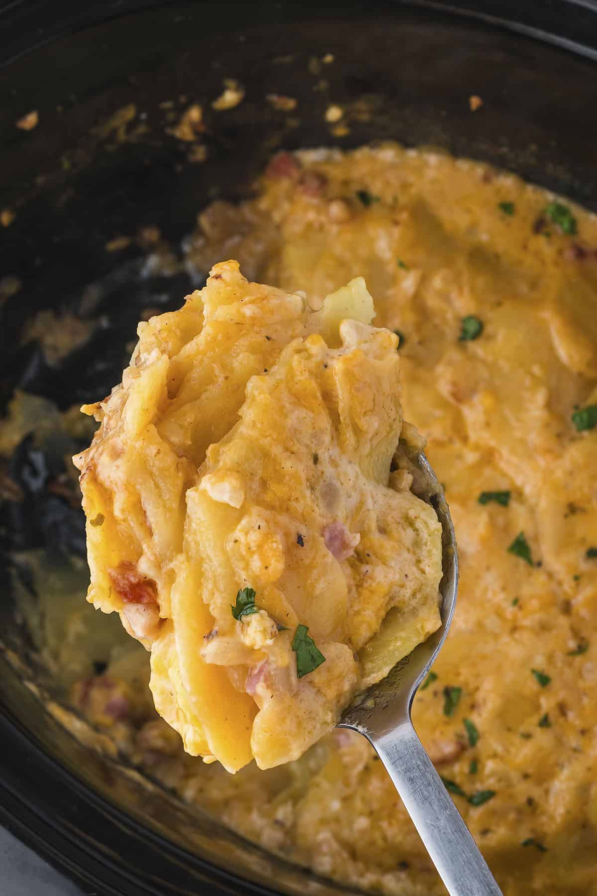 Spoonful of scalloped potatoes with ham over slow cooker.