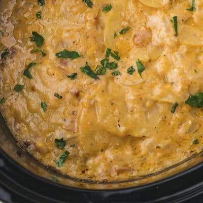 Scalloped potatoes in crockpot.